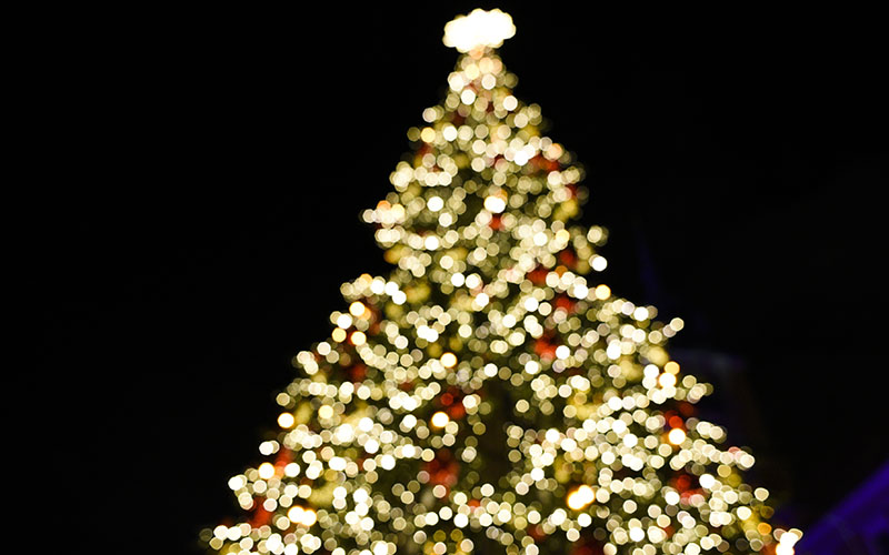 Large lit Christmas tree in a city plaza at dusk