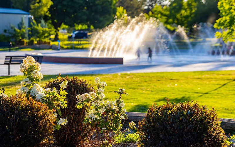 Wide open park lawn with mature trees