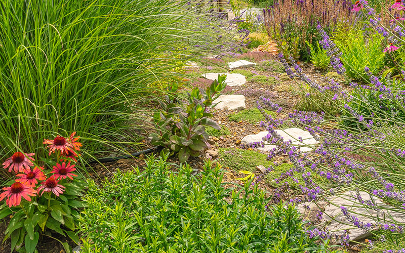 Winding garden path with seasonal blooms