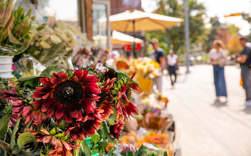 Downtown outdoor market stalls