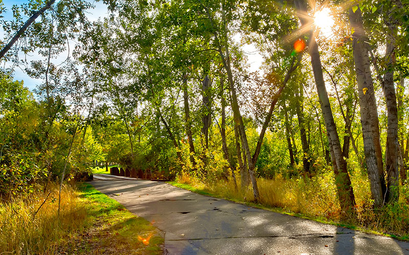 Tree-lined riverside path along the Boise River