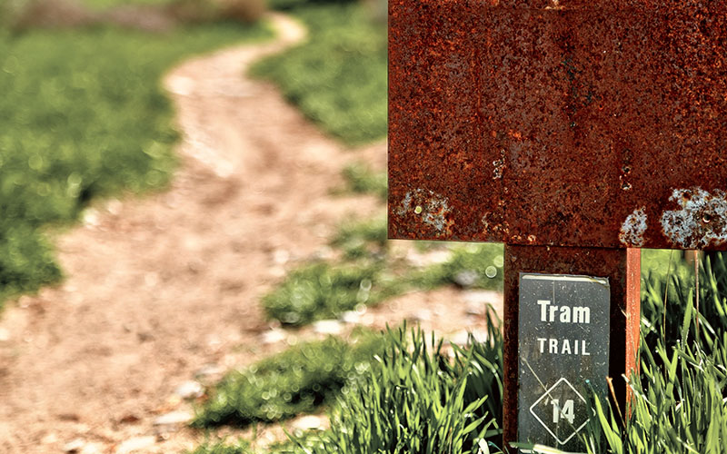 Hiking trail winding through green foothills
