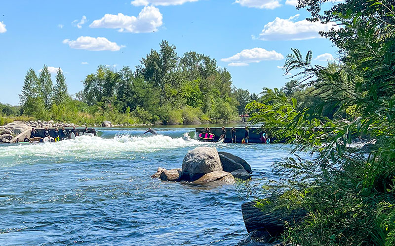 River surfer riding a standing wave