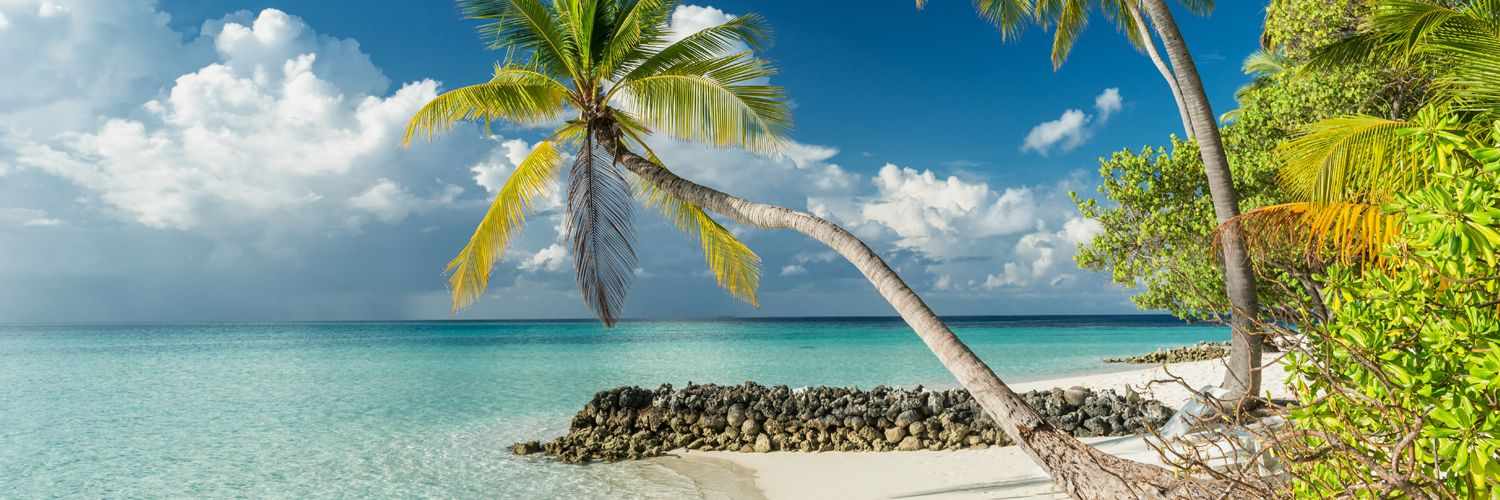Sunny Warm Hawaii Beach