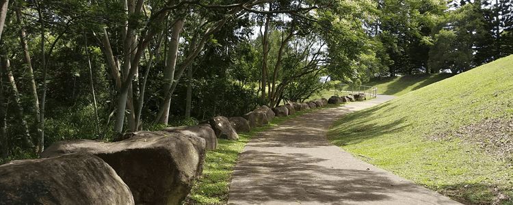 Mililani ravine park Mililani Oahu