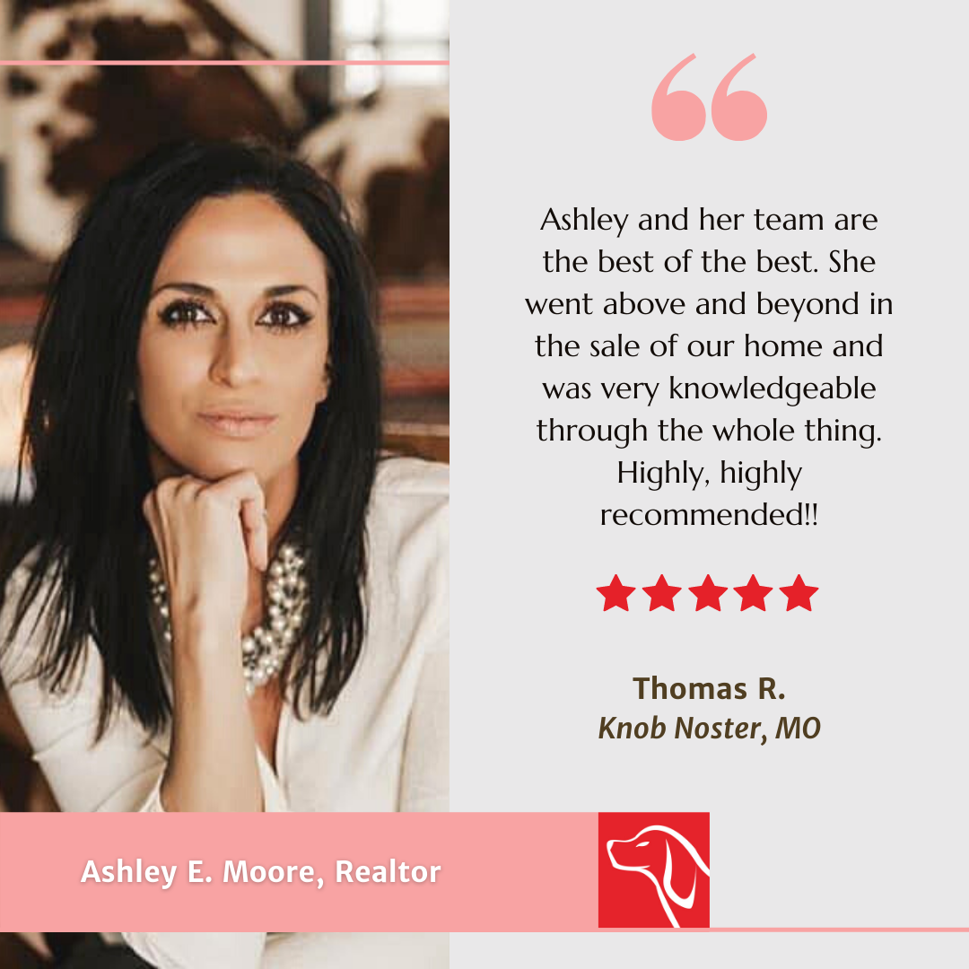 Ashley's Customer Review