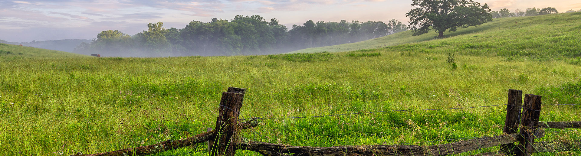 Tryon, Polk County, Rutherford County, North Carolina Land for Sale