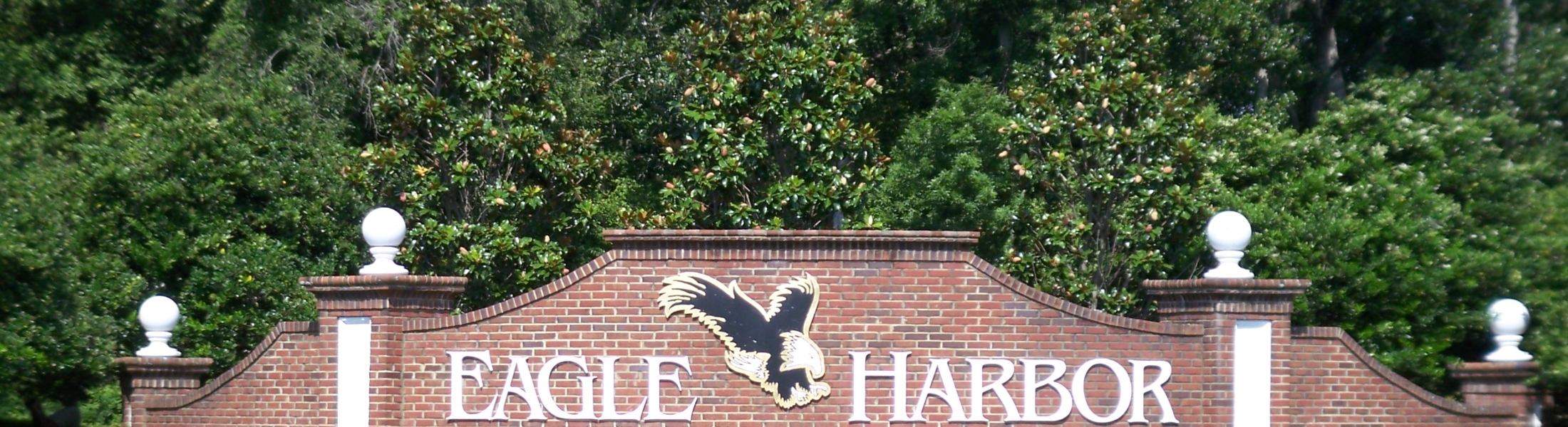 Eagle Nest Preserve at Eagle Harbor homes for sale