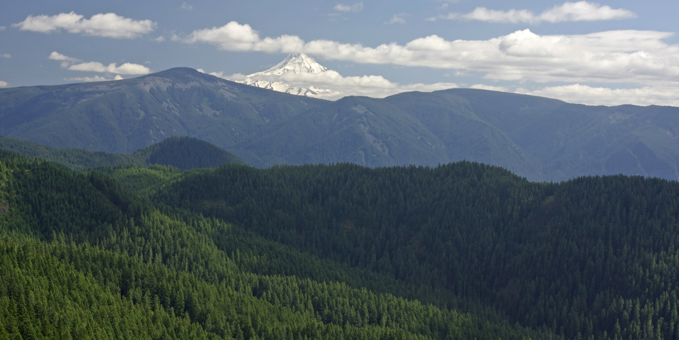 Camas Valley Real Estate Camas Valley Homes For Sale