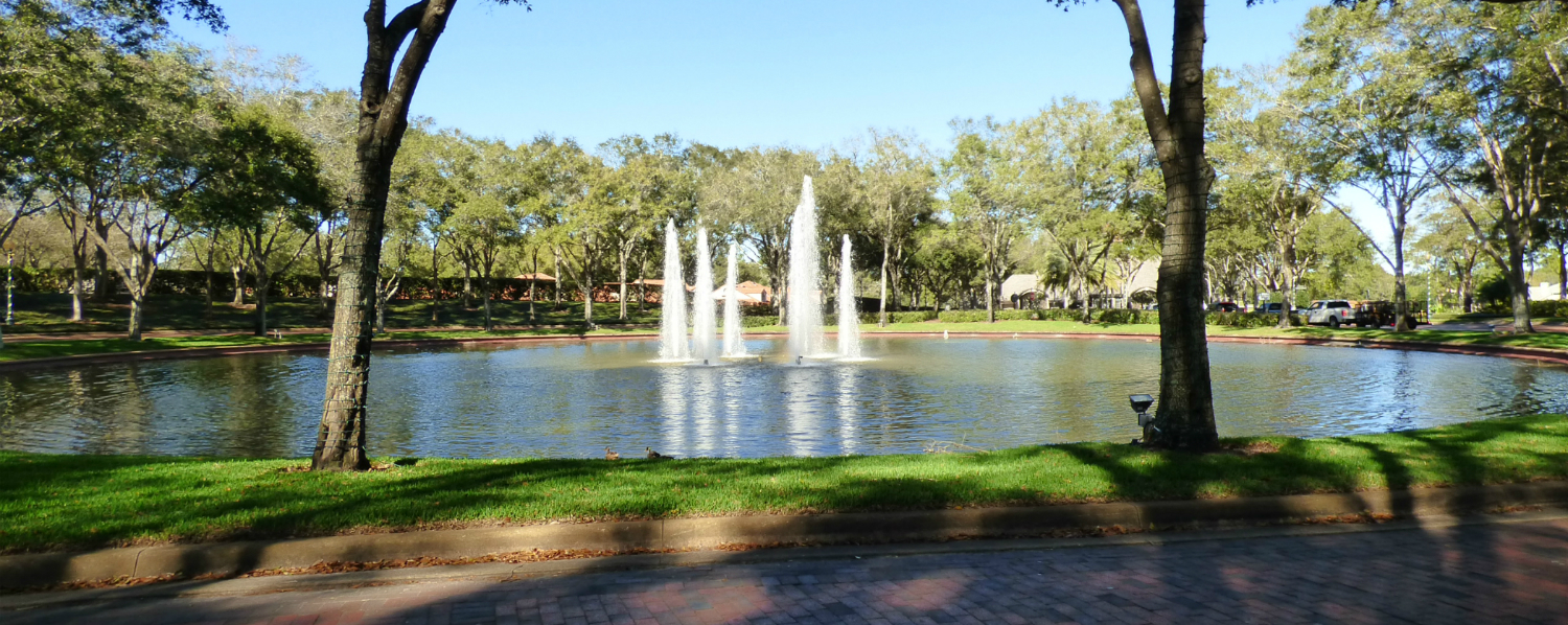 Gated Communities In The Orlando Area