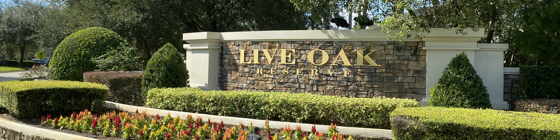 Live Oak Reserve Homes For Sale