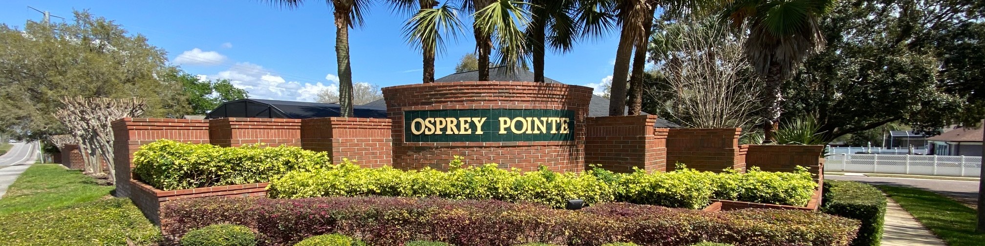 Osprey Pointe Homes For Sale
