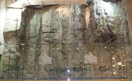 Oviedo Rock Wall