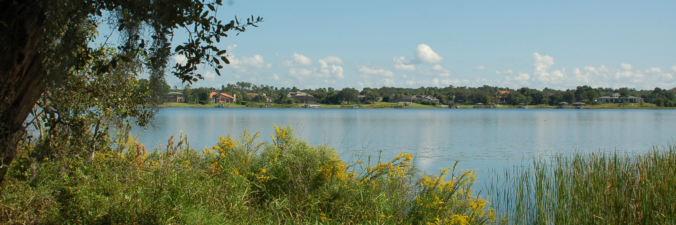 Bear Gully Pointe Homes For Sale