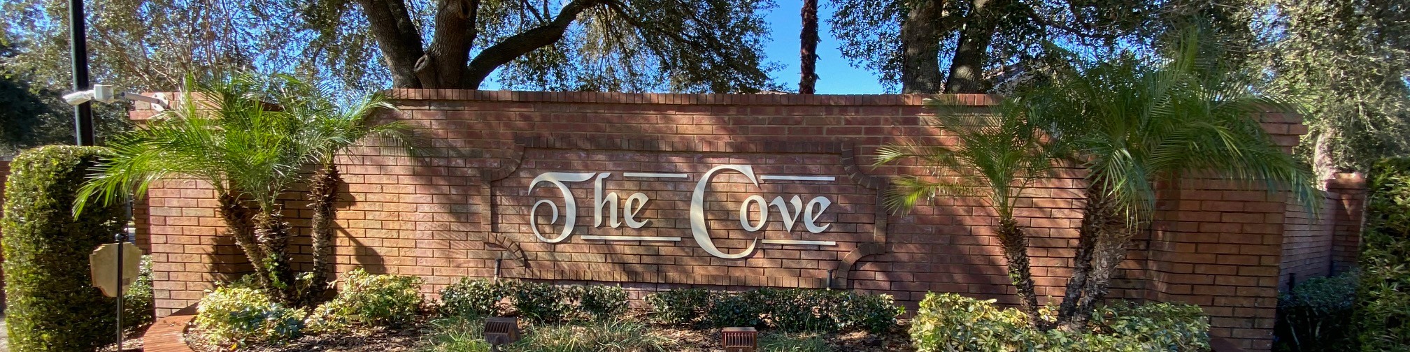 Homes For Sale In The Cove In Lake Mary, FL