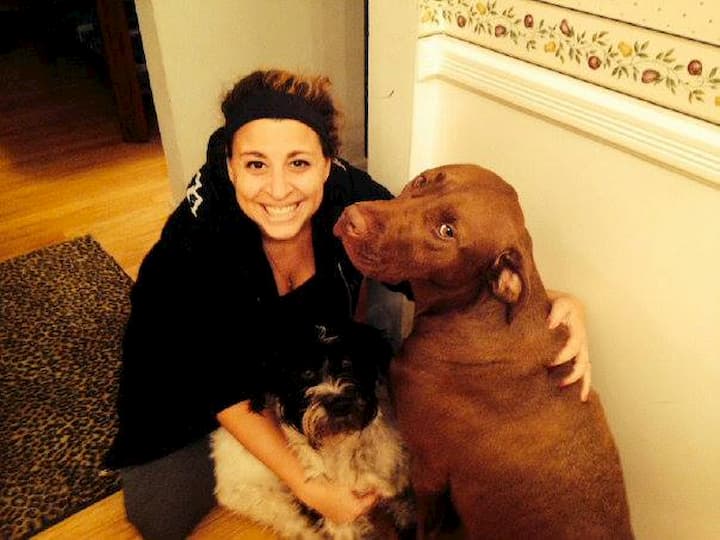 Copper and Boomer