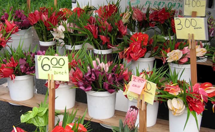 KCC Farmers Market