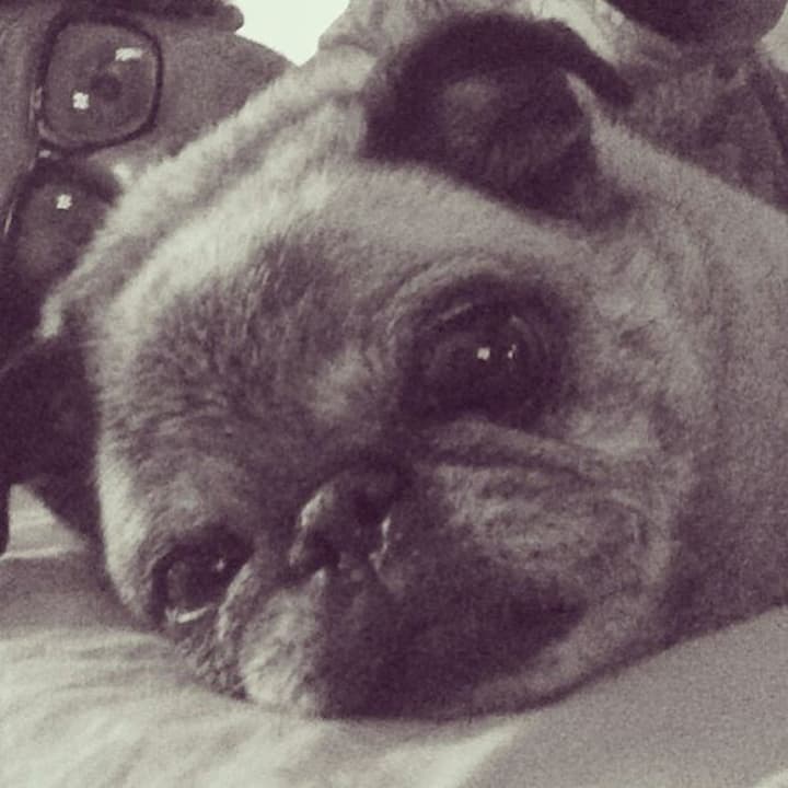 Dave and his dog Squishy
