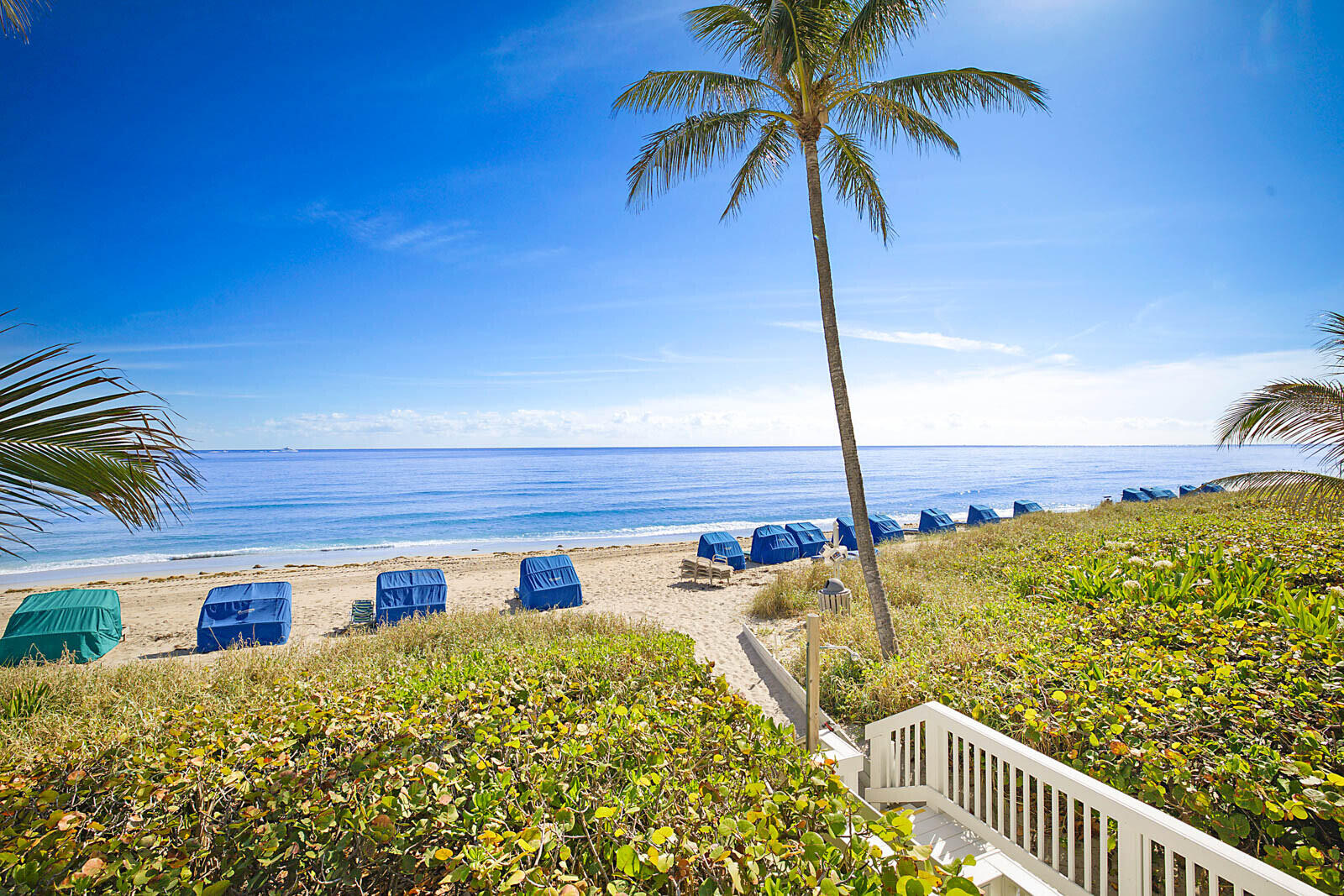 Oceanfront swimming pool at Trafalgar of Highland Beach