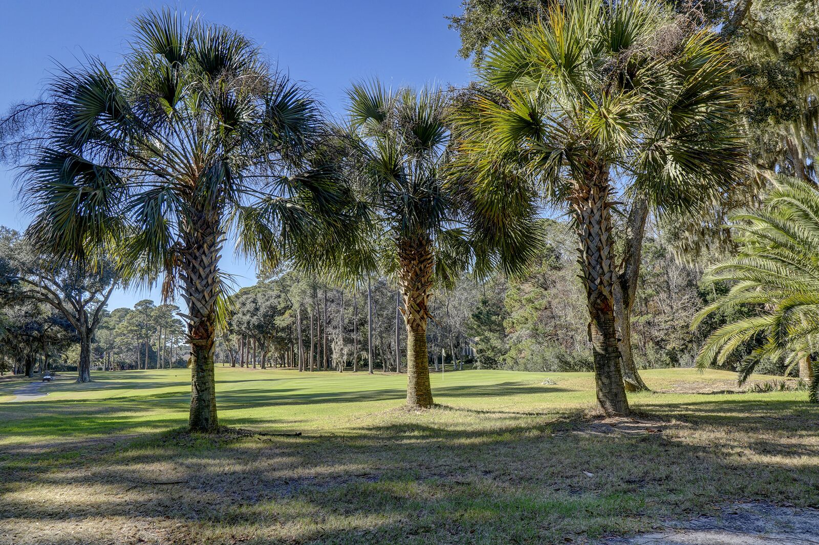 Indigo Run Homes For Sale Hilton Head Island, SC 29928