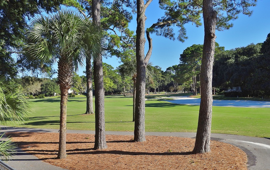 Heritage Woods Homes For Sale Heritage Woods Sea Pines Plantation