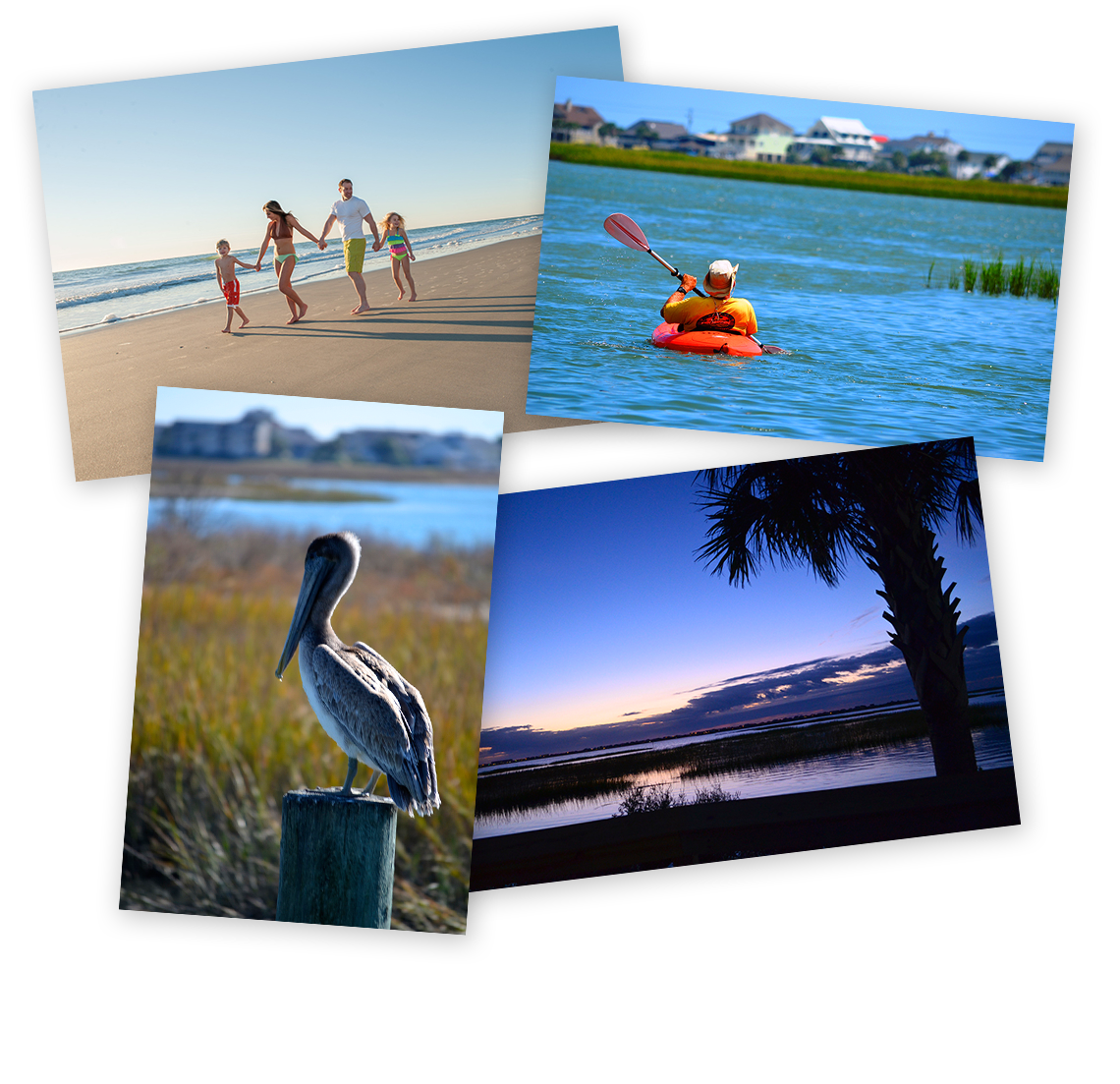 friendly vacation rentals vacation rentals pawleys island sc the lachicotte company friendly vacation rentals vacation rentals pawleys island sc the lachicotte company
