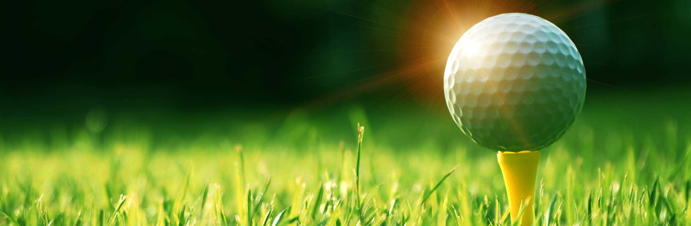 The Bears Club Homes for Sale Bears Club Real Estate in Jupiter Florida