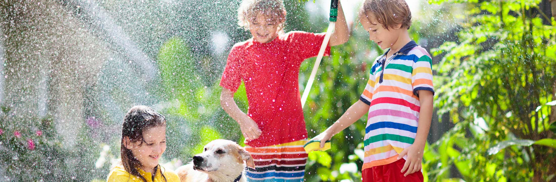 Pet Friendly Condominiums in Palm Beach County Florida