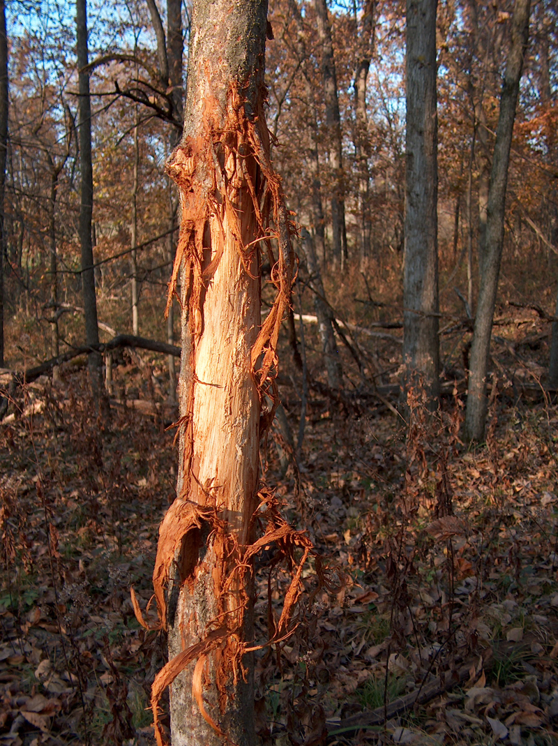 randol s complete outdoor living on Farms