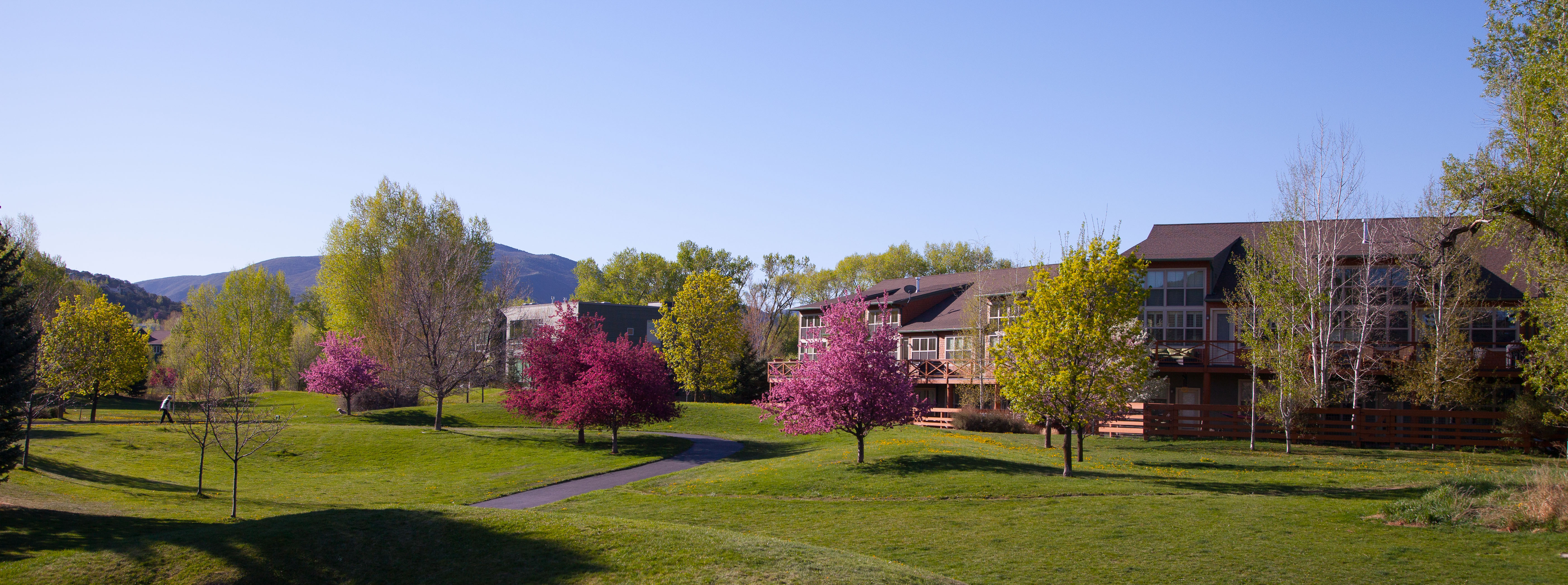 Aspen Real Estate search all Basalt areas for homes and property for sale