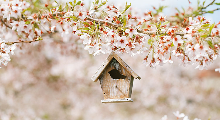 Data Says April is the Best Month to List Your Home for Sale | MyKCM