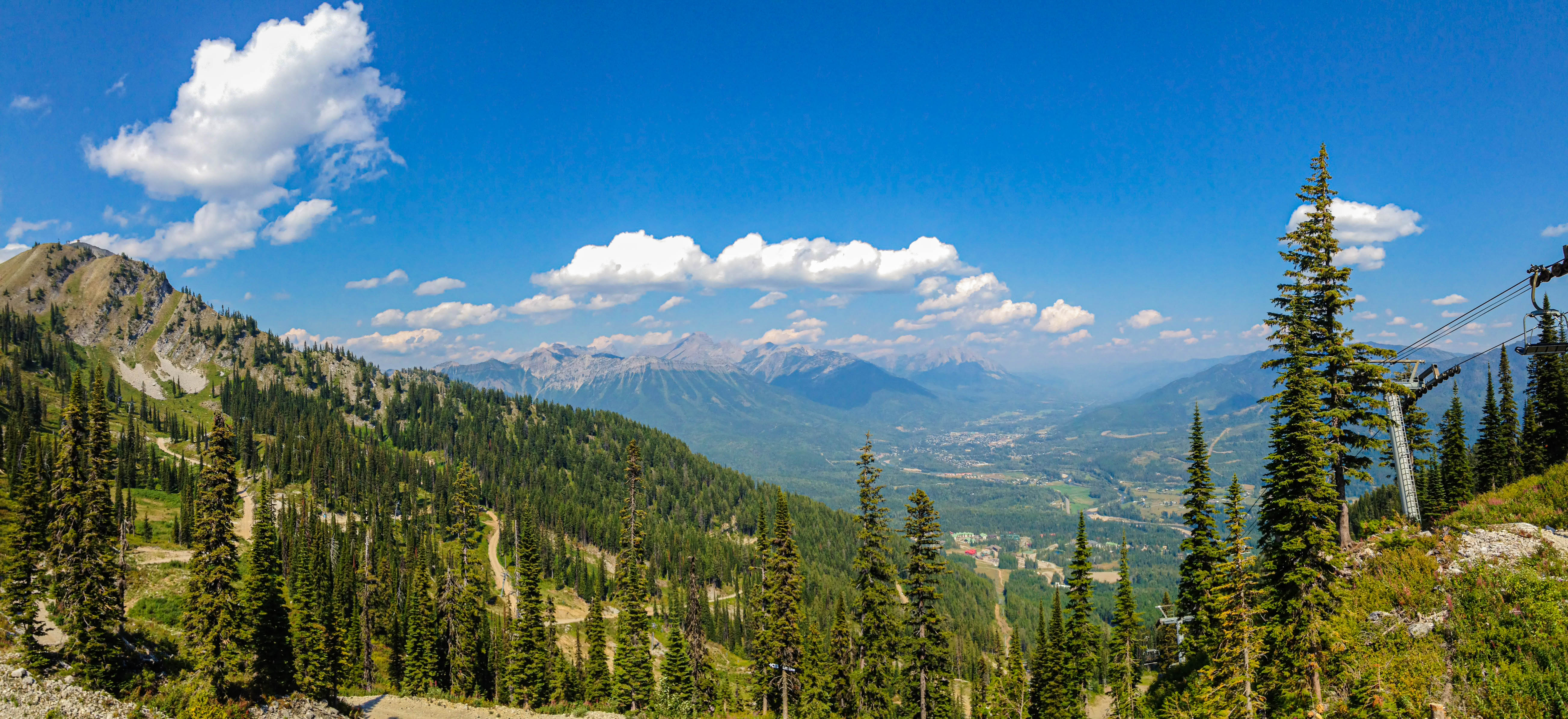 Fernie