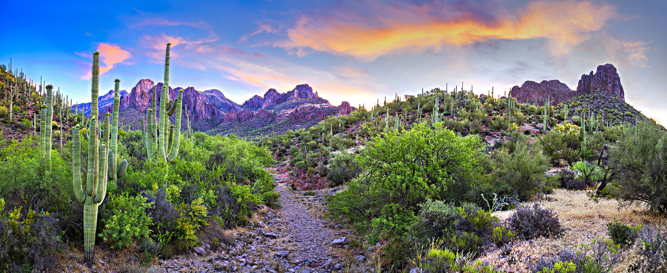 Phoenix Real Estate Phoenix Homes For Sale