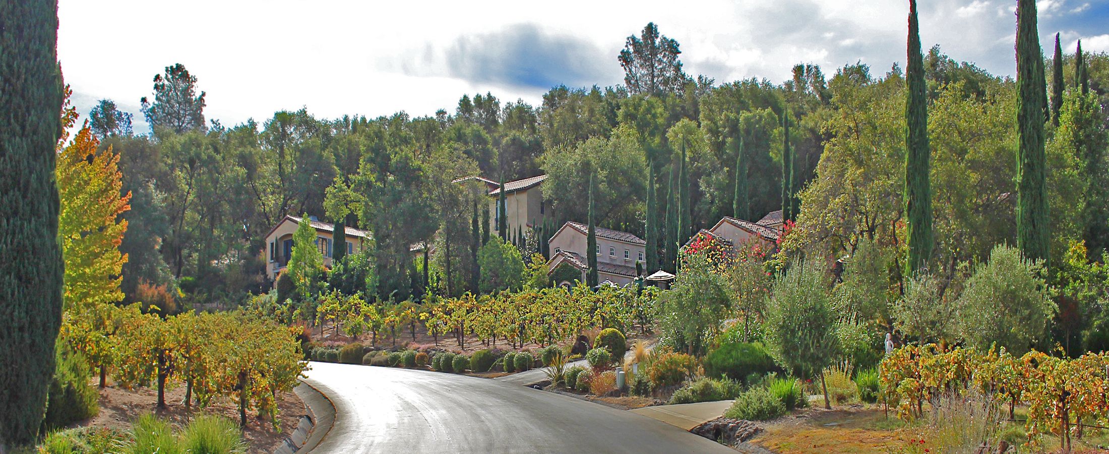 Buying a Home in Roseville, Rocklin and Sacramento