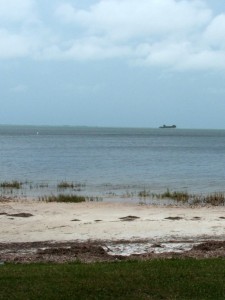 Crystal Beach Florida Homes For Crystal Beach Palm Harbor Paradise