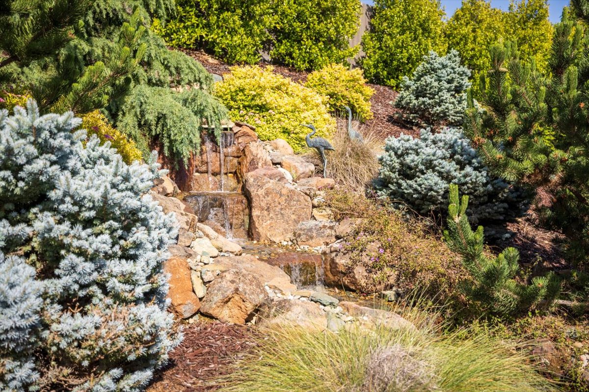 Backyard of 2059 Keystone Dr, El Dorado Hills, Ca 95762