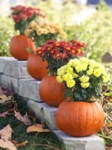 10-15-3-fall