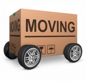 3-11-relocation