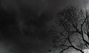 4-15-weather