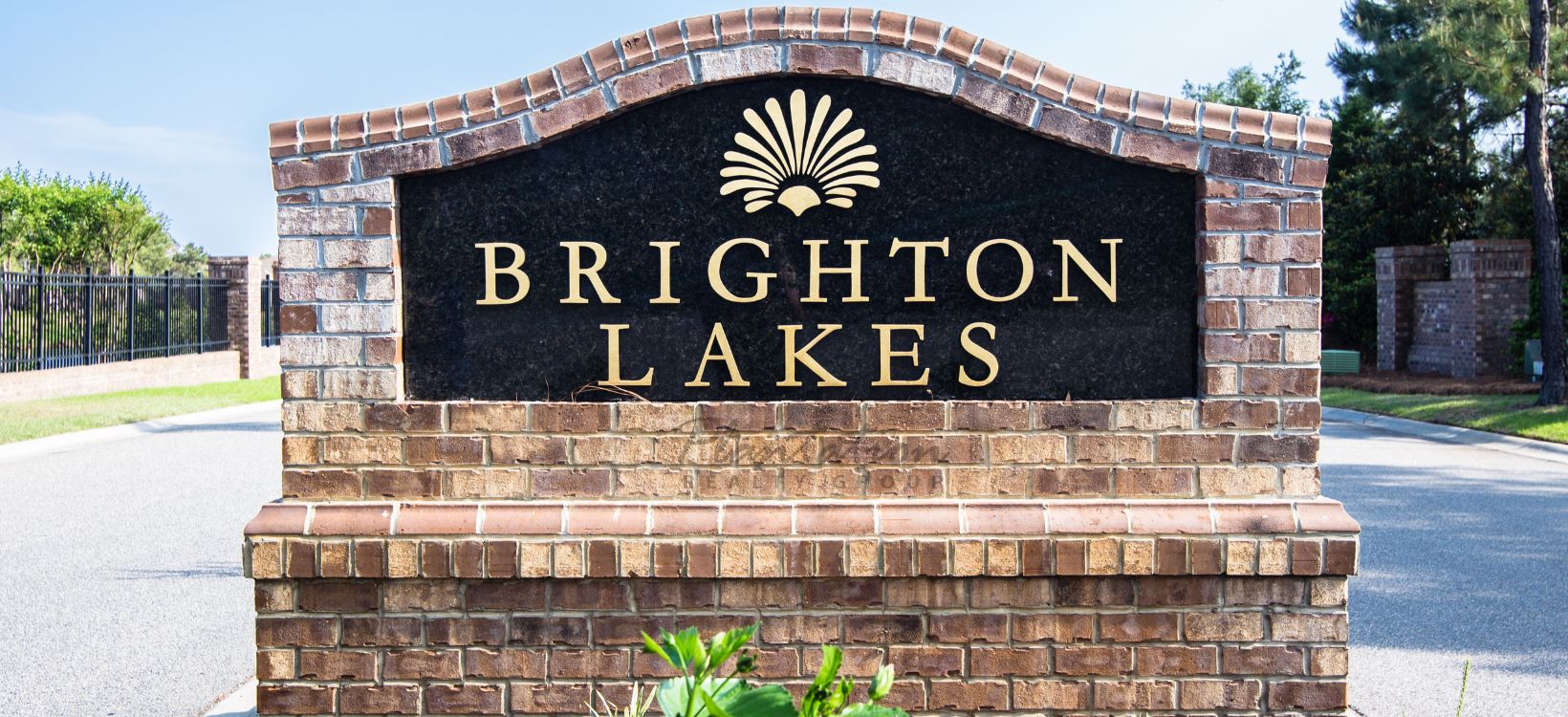 Brighton Lakes Homes & Lots For Sale