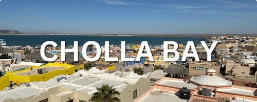 Cholla Bay homes for sale