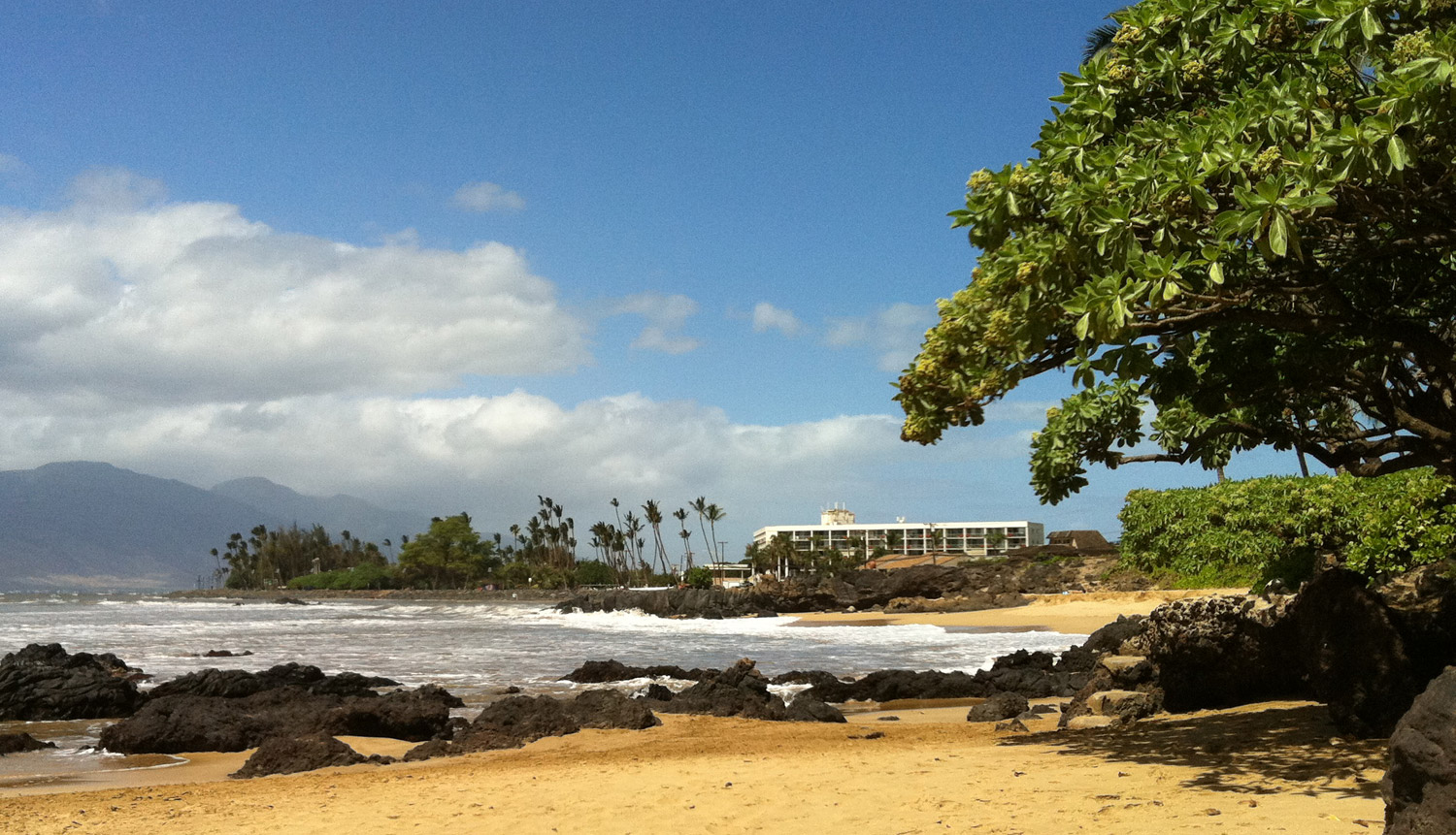 Island Surf Condo for Sale Island Surf Condos Maui Hawaii Real Estate