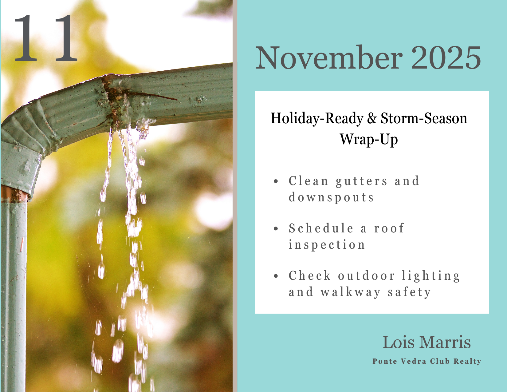 Florida Home Maintenance Guide - November 2025