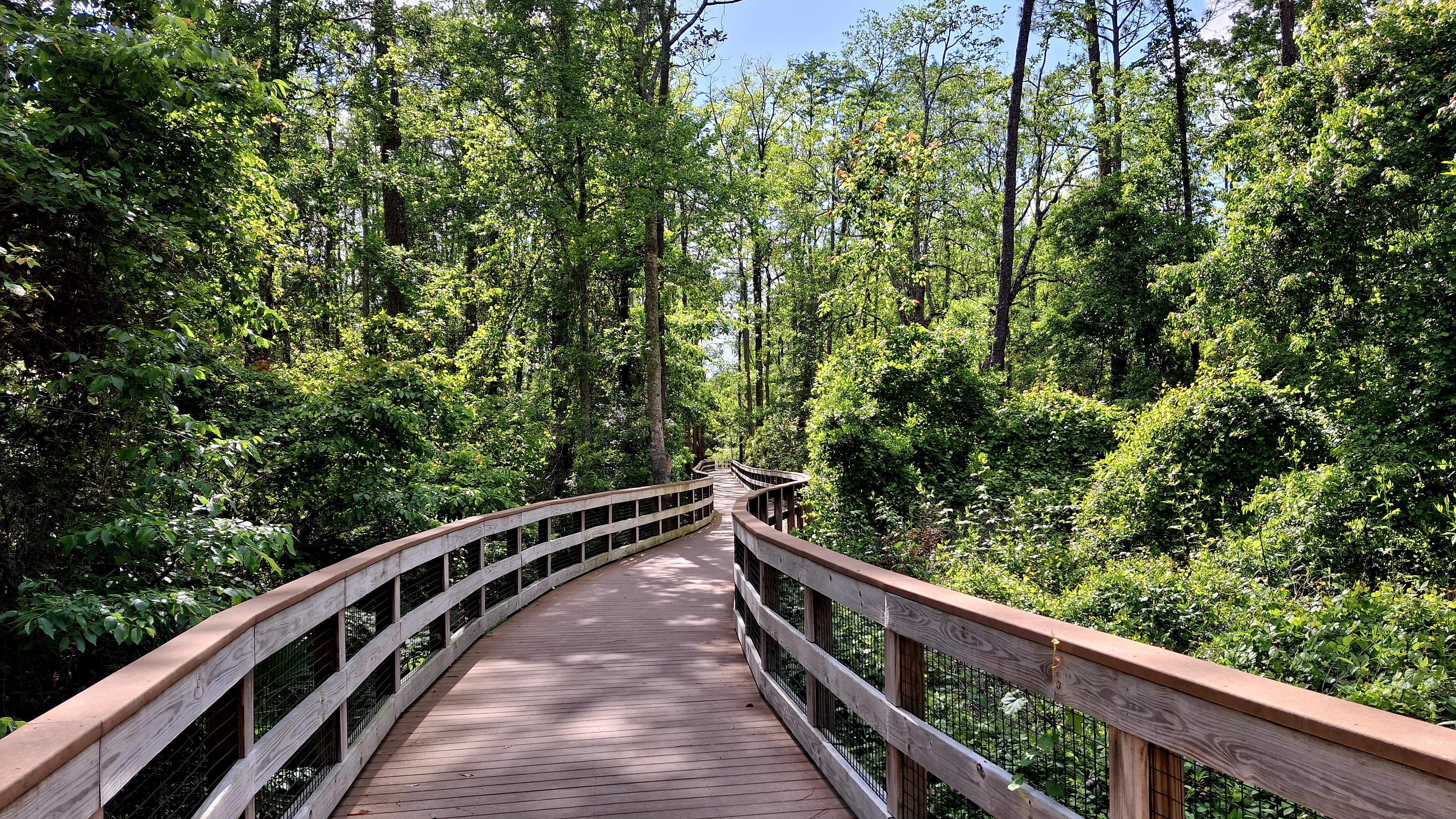 Walking trails and bridge in Sweetwater by Del Webb Jacksonville Florida