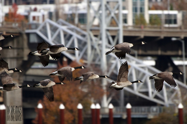 Where are People Moving? Best City on Many Lists