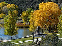 prescott-image-2