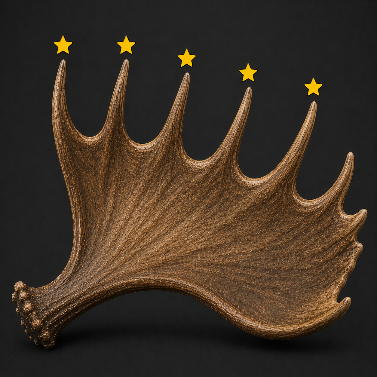 Moose Horn 5 star