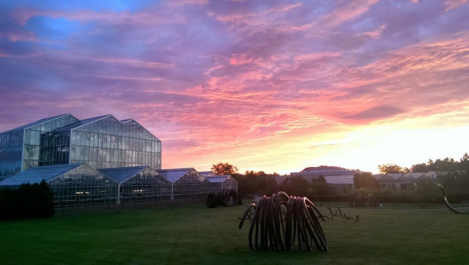 Photo Credit:  Brett McPherson via the Fredick Meijer Garden Facebook Page