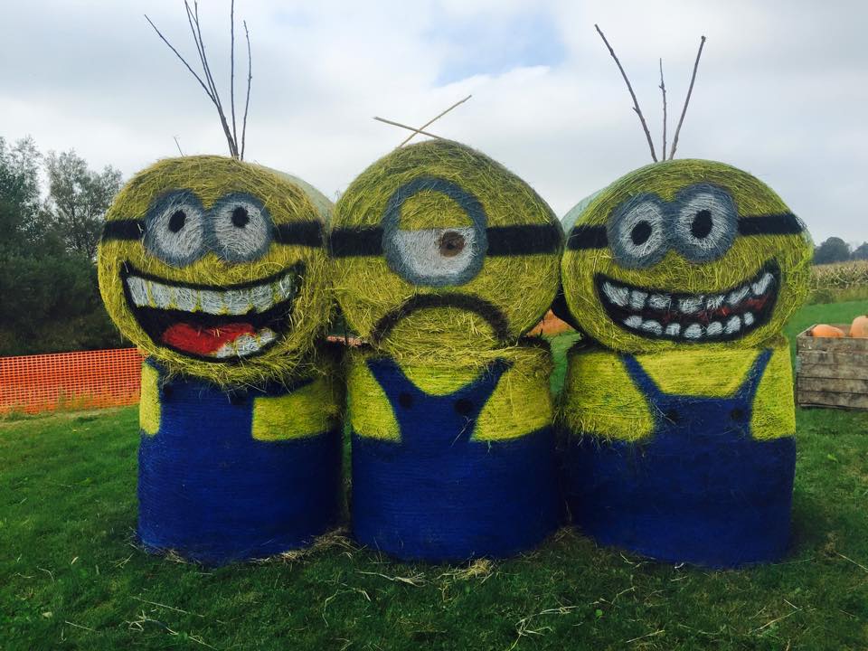 Photo Credit: Ed Dunneback and Girls Fruit Farm public Facebook page
