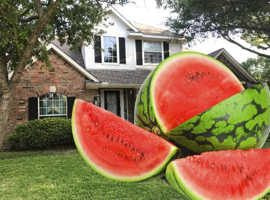 Choose Your Agent As Carefully As You Choose Your Fruit!